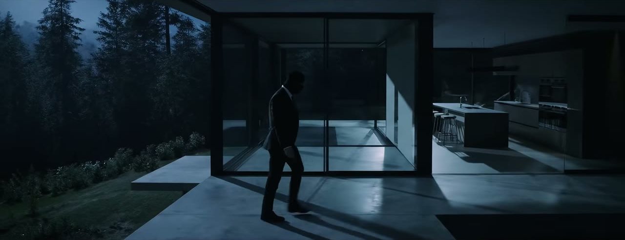 THE CLEANER