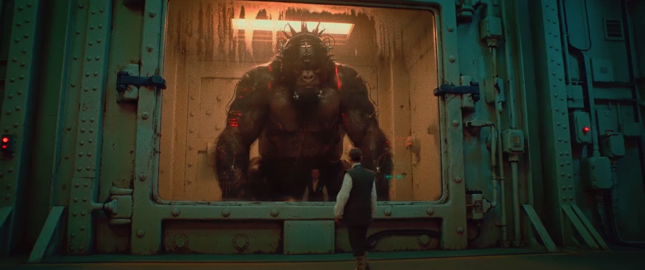 The gorilla