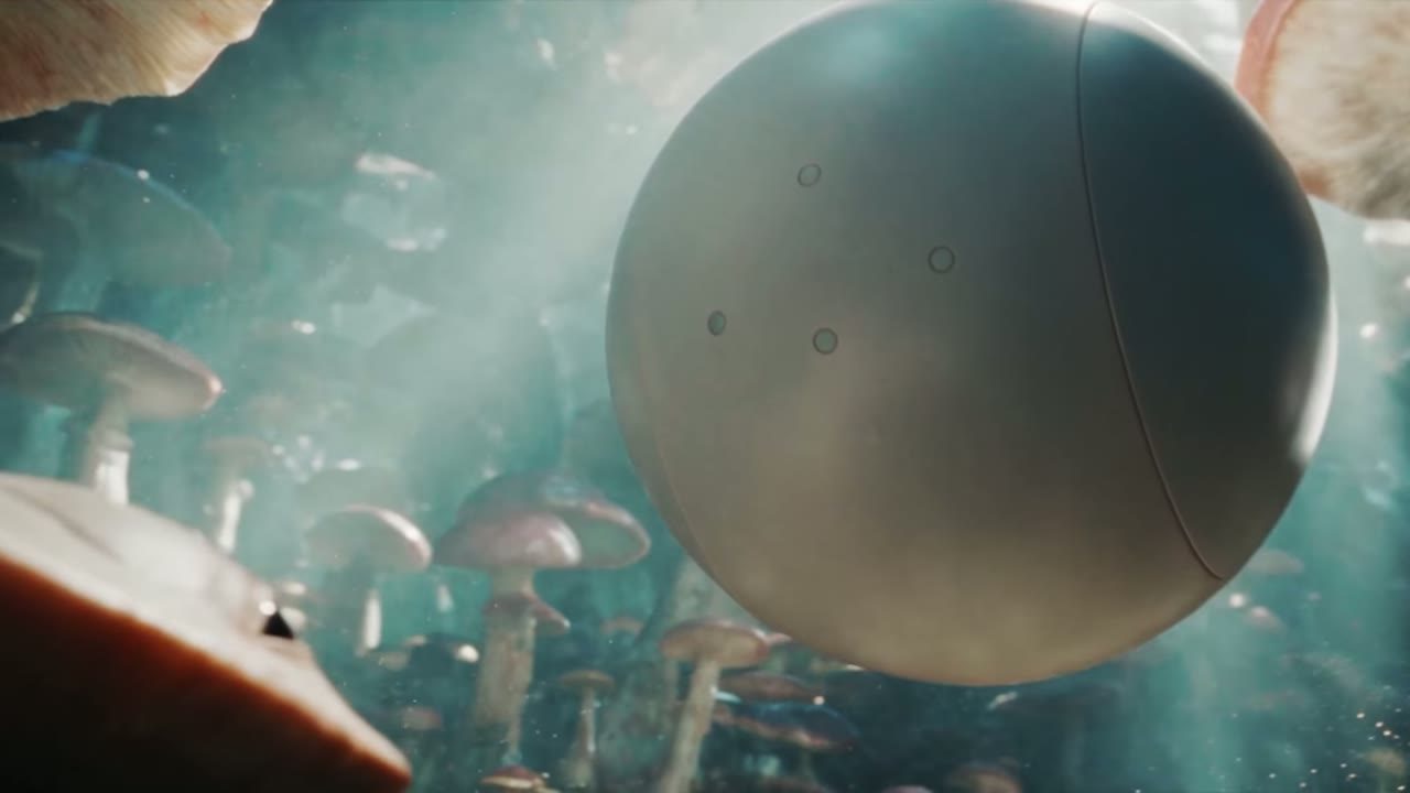 The sphere