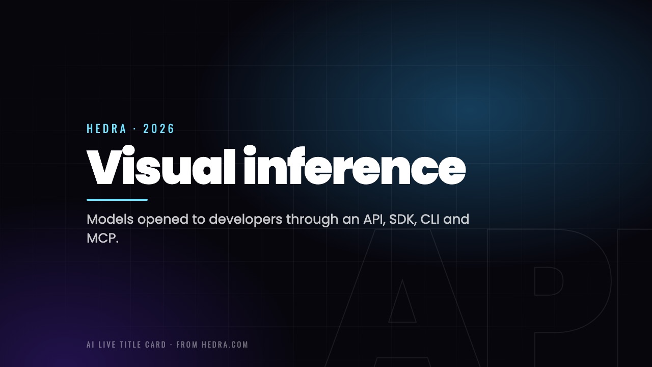 Visual inference