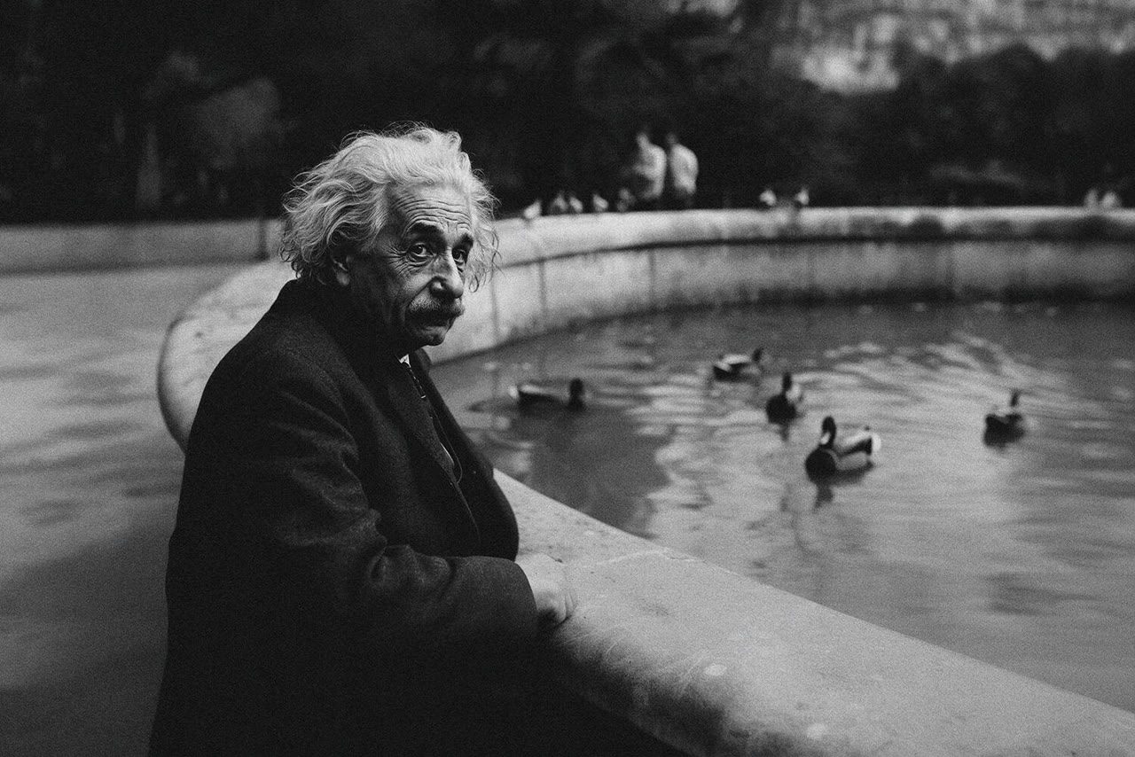 Feeding the ducks